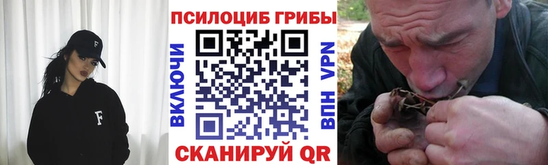 Псилоцибиновые грибы Psilocybine cubensis дарнет шоп Петухово